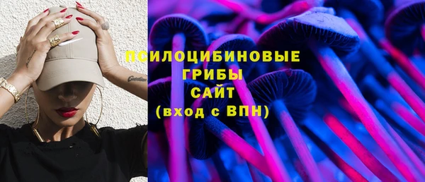 спайс Алексин
