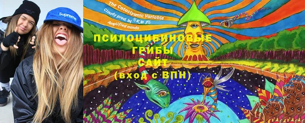 ПСИЛОЦИБИНОВЫЕ ГРИБЫ Алзамай